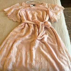 A pea in the pod maternity dress